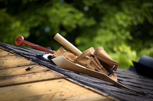 roof-maintenance Experts in Bloomingdale